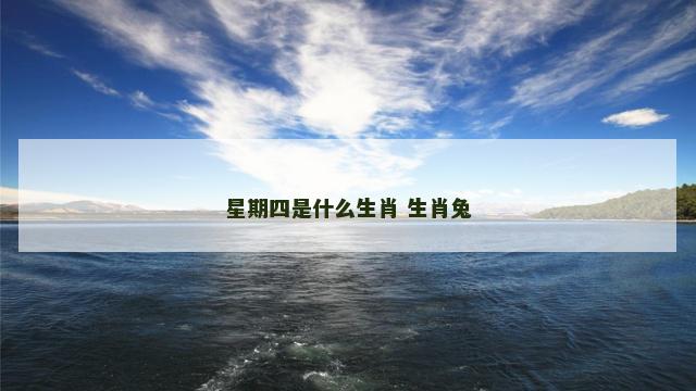 星期四是什么生肖 生肖兔