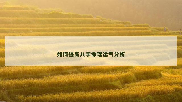 如何提高八字命理运气分析