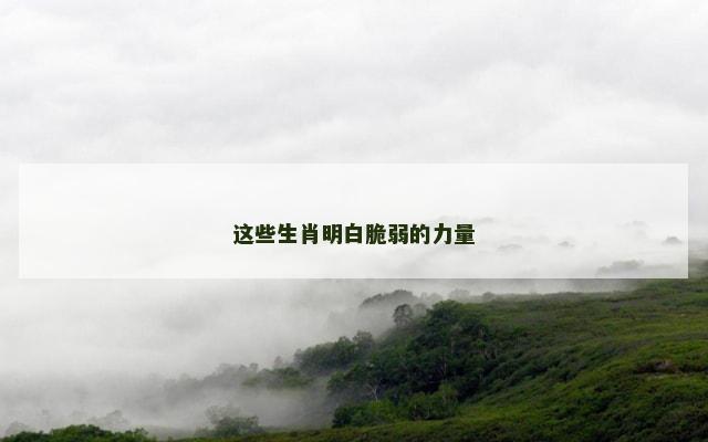 这些生肖明白脆弱的力量