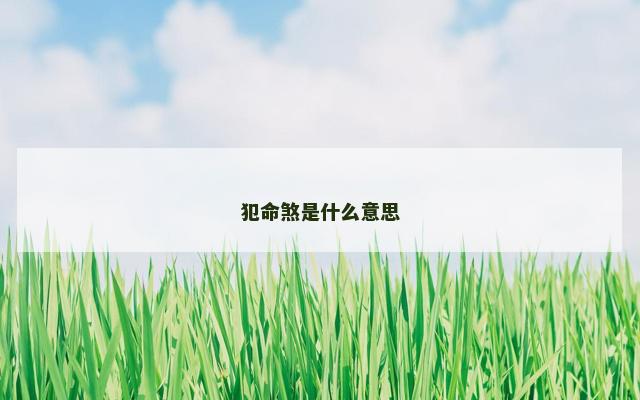 犯命煞是什么意思
