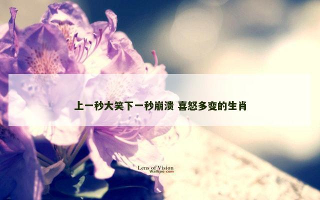 上一秒大笑下一秒崩溃 喜怒多变的生肖