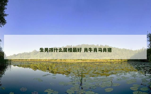 生男孩什么属相最好 肖牛肖马肖猪