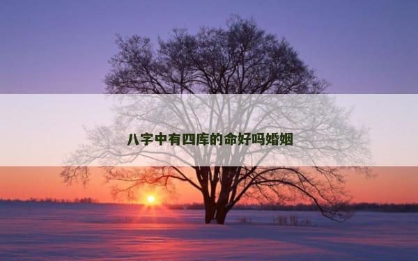 八字中有四库的命好吗婚姻