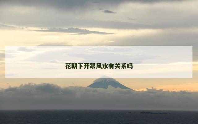 花朝下开跟风水有关系吗