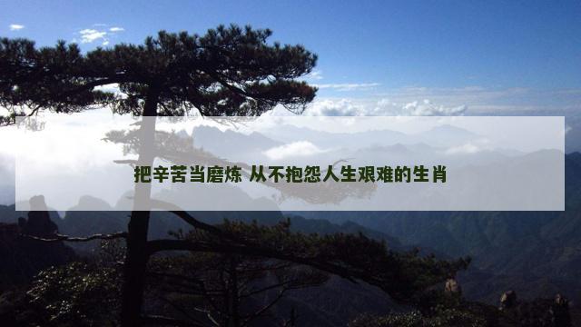 把辛苦当磨炼 从不抱怨人生艰难的生肖