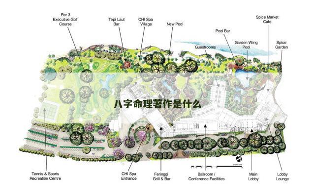 八字命理著作是什么