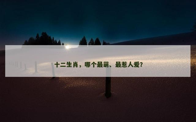 十二生肖，哪个最萌、最惹人爱？