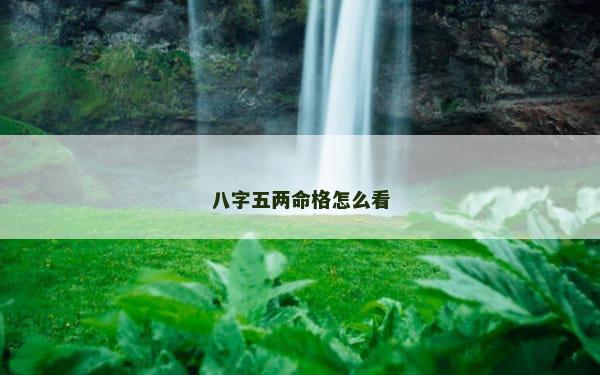 八字五两命格怎么看