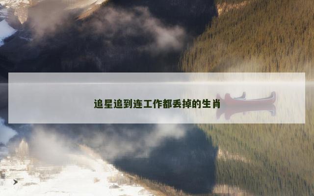 追星追到连工作都丢掉的生肖