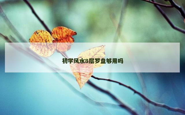 初学风水8层罗盘够用吗