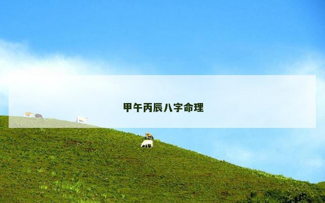 甲午丙辰八字命理