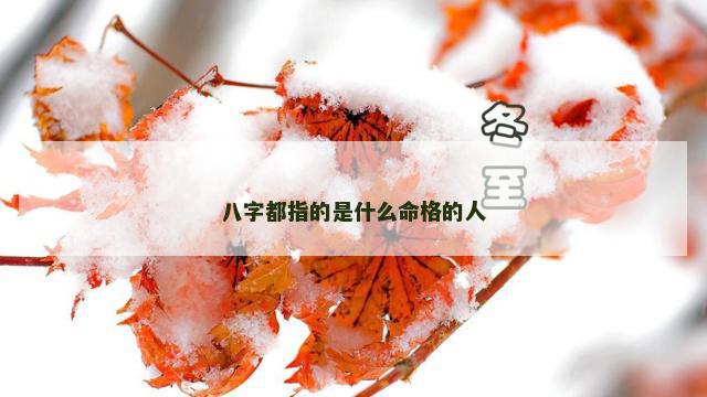 八字都指的是什么命格的人