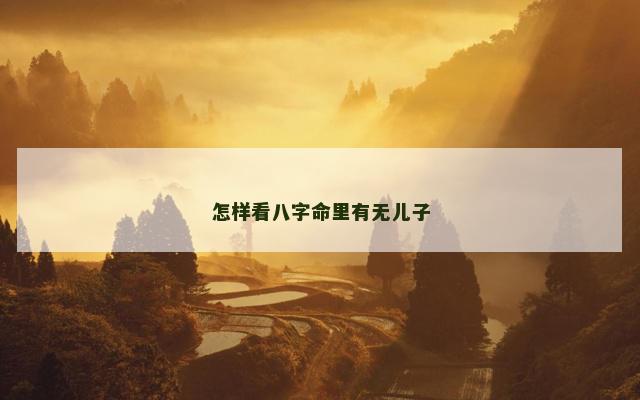 怎样看八字命里有无儿子
