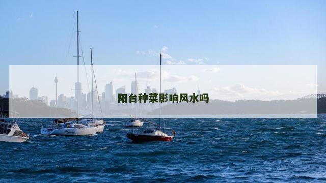 阳台种菜影响风水吗