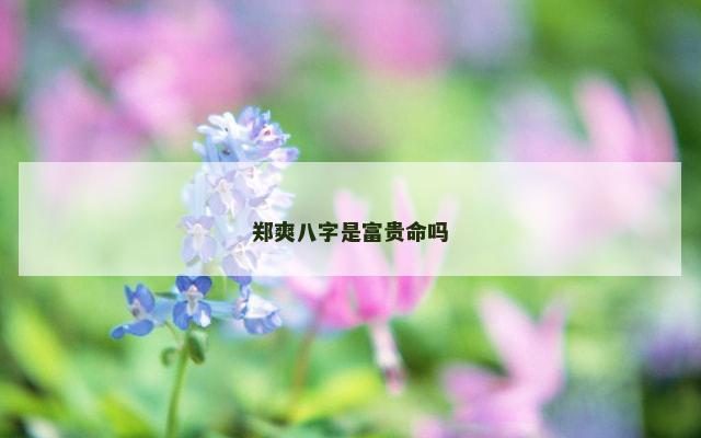 郑爽八字是富贵命吗