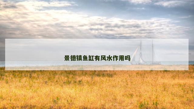 景德镇鱼缸有风水作用吗