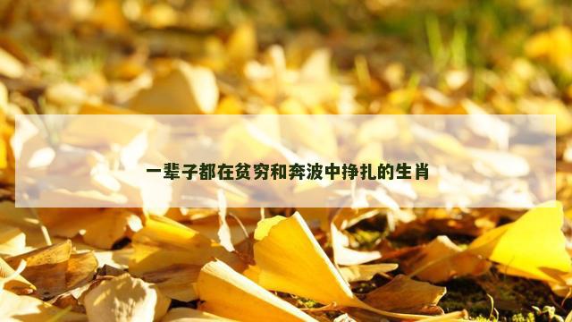 一辈子都在贫穷和奔波中挣扎的生肖