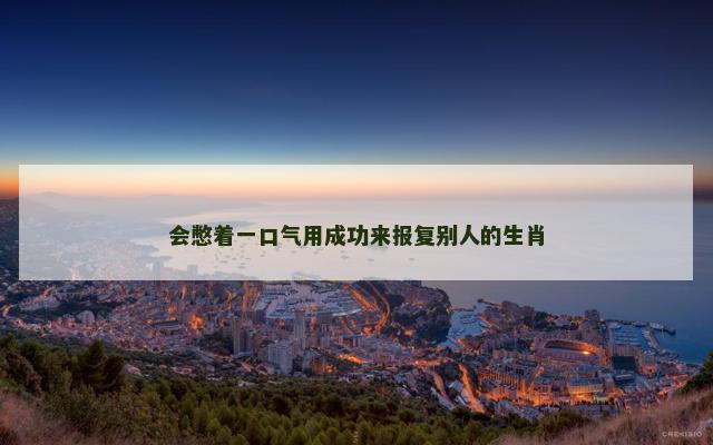会憋着一口气用成功来报复别人的生肖