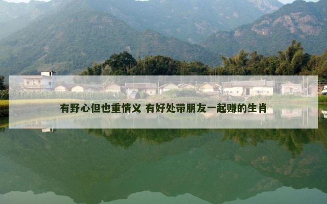有野心但也重情义 有好处带朋友一起赚的生肖
