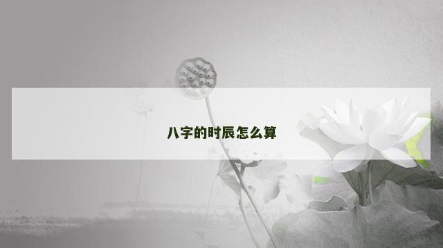 八字的时辰怎么算