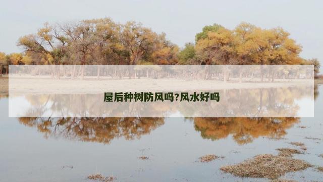 屋后种树防风吗?风水好吗