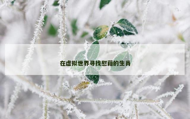 在虚拟世界寻找慰藉的生肖