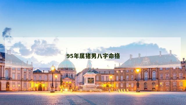 95年属猪男八字命格