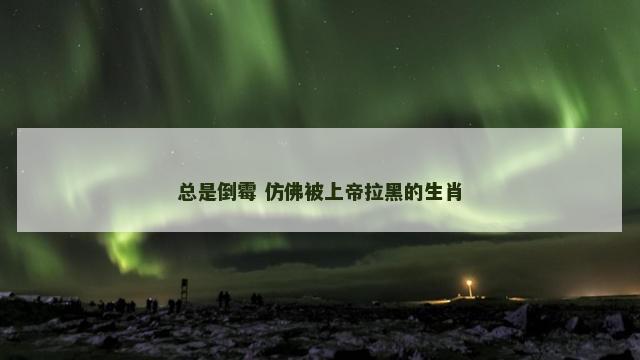 总是倒霉 仿佛被上帝拉黑的生肖