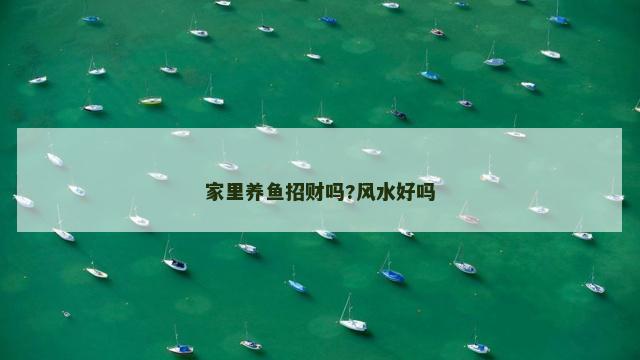 家里养鱼招财吗?风水好吗
