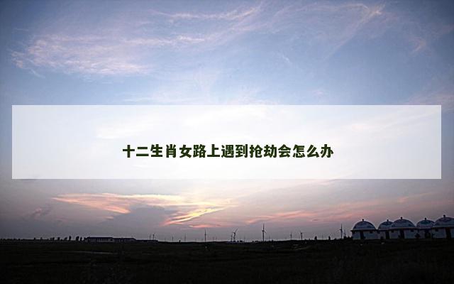 十二生肖女路上遇到抢劫会怎么办