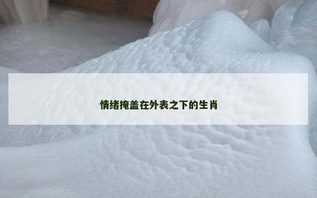 情绪掩盖在外表之下的生肖