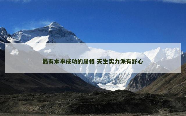 最有本事成功的属相 天生实力派有野心