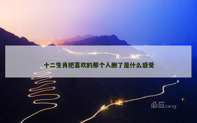 十二生肖把喜欢的那个人删了是什么感受