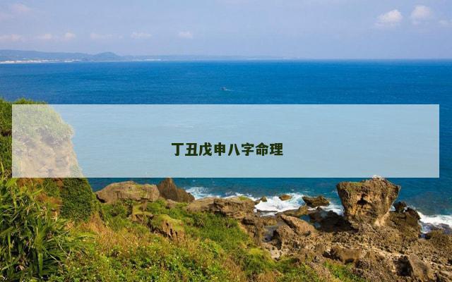 丁丑戊申八字命理