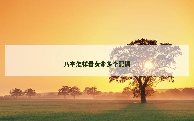 八字怎样看女命多个配偶