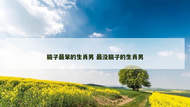 脑子最笨的生肖男 最没脑子的生肖男