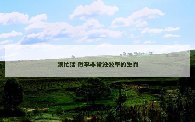 瞎忙活 做事非常没效率的生肖