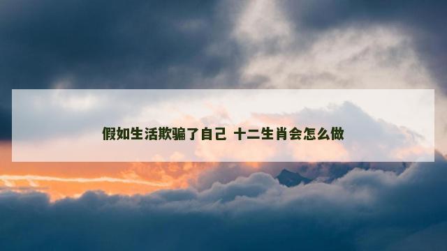 假如生活欺骗了自己 十二生肖会怎么做