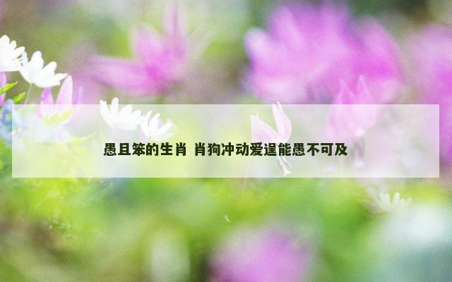 愚且笨的生肖 肖狗冲动爱逞能愚不可及