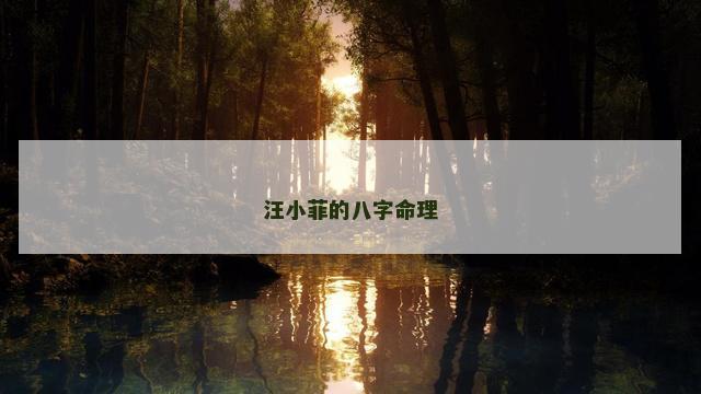 汪小菲的八字命理
