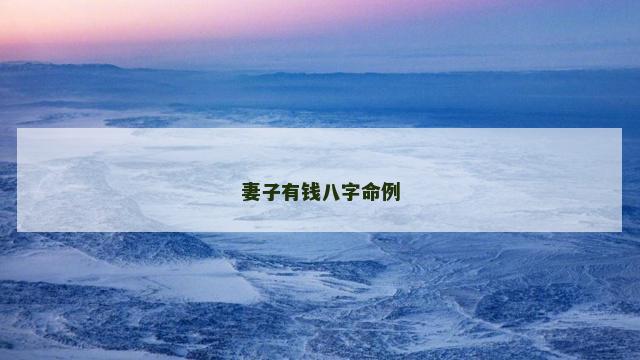 妻子有钱八字命例
