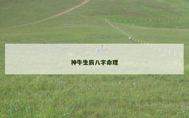 神牛生辰八字命理