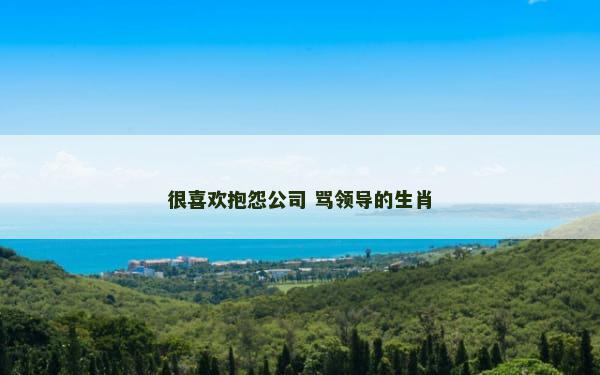 很喜欢抱怨公司 骂领导的生肖