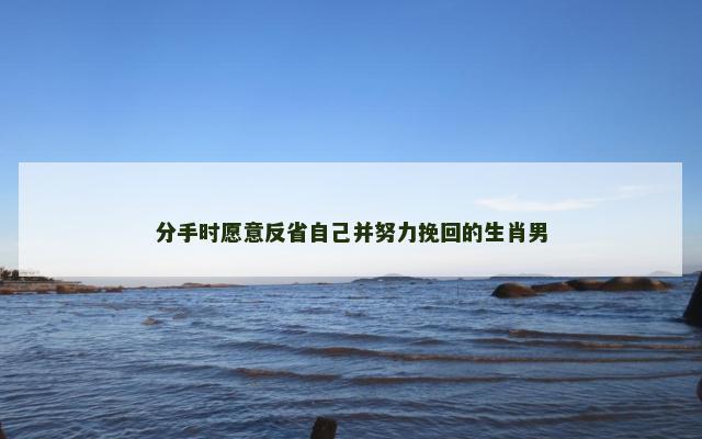 分手时愿意反省自己并努力挽回的生肖男