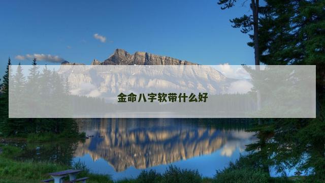 金命八字软带什么好
