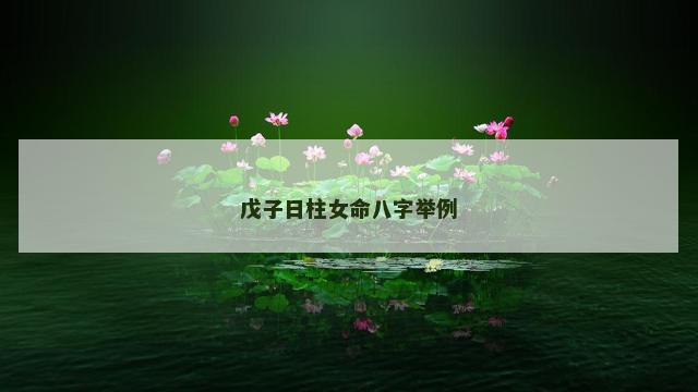 戊子日柱女命八字举例