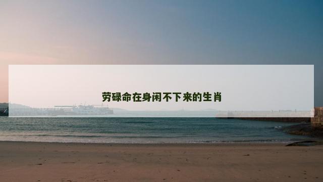 劳碌命在身闲不下来的生肖