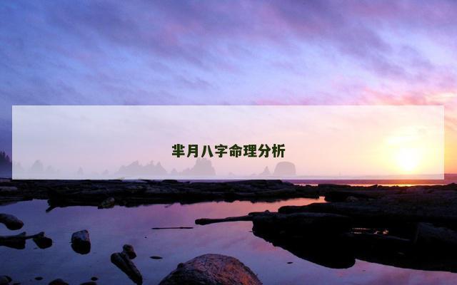 芈月八字命理分析