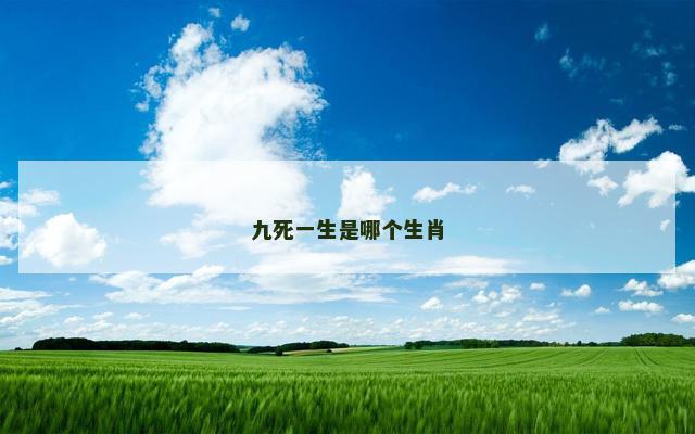 九死一生是哪个生肖