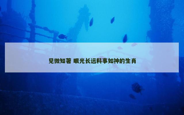 见微知著 眼光长远料事如神的生肖